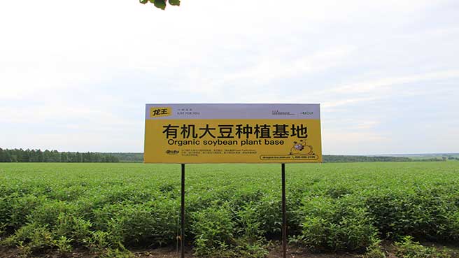 Base de production de soja